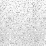 USG Interiors 4240 12-inch by 12-inch Tivoli天井タイル
