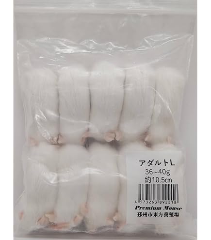 ☆冷凍ラット☆pon Amazon | 国産冷凍ラット (アダルト3L ～320g 2匹入り) | 冷凍