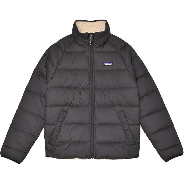 Amazon.co.jp: Patagonia 20670 Men's Reversible Silent Down Fleece