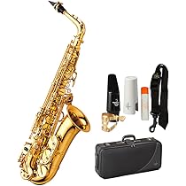 61mYaSLL4WL._AC_UL210_SR210,