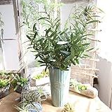 レンコス（Lemcos）　人工観葉植物　葉　インテリア　プレゼント　部屋飾り　気分転換　結婚式・美術館・ホーム・庭園・キッチン・オフィス・喫茶店