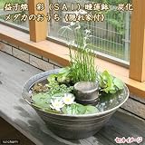 益子焼 彩(SAI) 睡蓮鉢(スイレン鉢) 炭化 メダカ鉢 隠れ家付 睡蓮鉢・金魚鉢・メダカ鉢