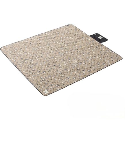 ★ファミリアスヌーピー☆収納バッグ付き レジャーシート☆50年代スヌーピー★ imgrc0078180201.jpg