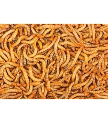 Amazon | NPF ミルワーム35g（生タイプミルワーム缶）×12個セット