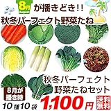 国華園　野菜たね　8月蒔どき秋冬パーフェクト野菜セット　10種10袋【※発送が国華園からの場合のみ正規品です】
