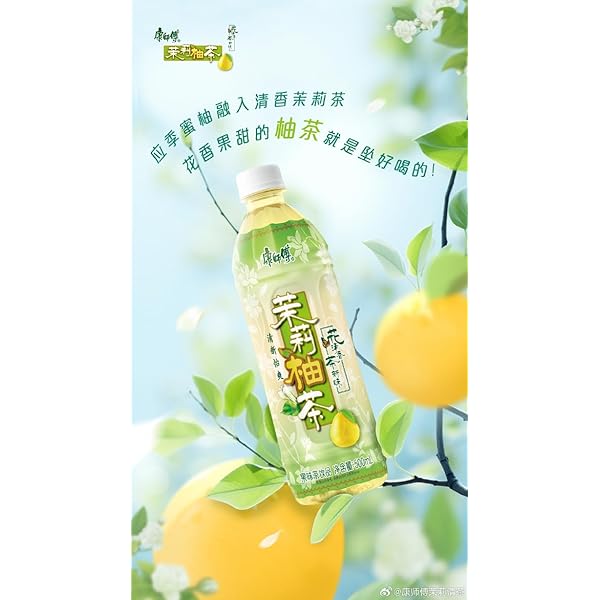 Amazon.co.jp: 選べる 康師傅飲料 酸梅汤 梅ジュース 茉莉蜜茶