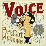 Voice