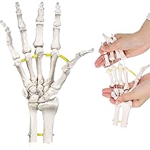 Amazon.co.jp: 【弊社独自の特殊素材でビヨーンと伸びる！！】【医療用