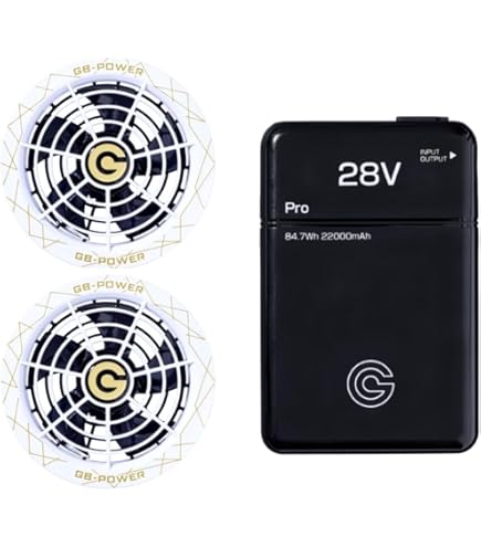 Amazon.co.jp: 長信ジャパン GB-POWER 28V バッテリーセット GB428 大