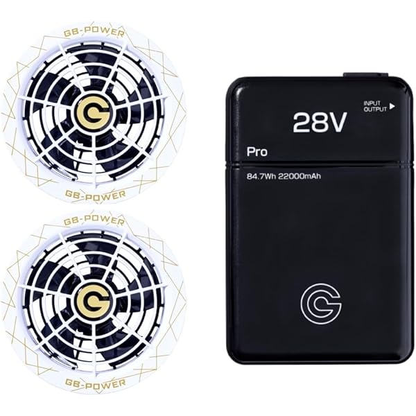 Amazon.co.jp: 桑和 G.G. 2025年 薄型 ファン 15V バッテリー