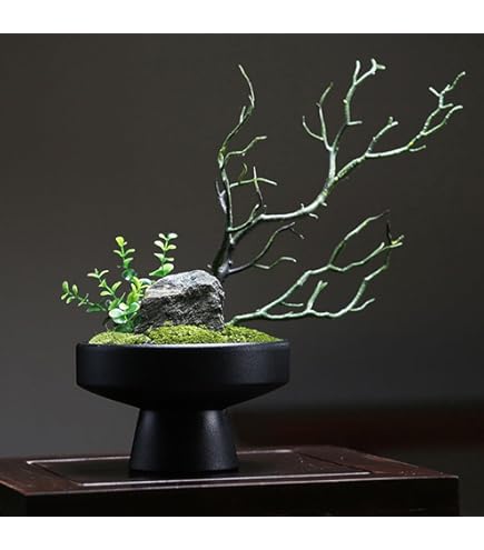 Amazon｜CUP BON 苔盆 人工観葉植物 フェイクグリーン (苔盆(しずく