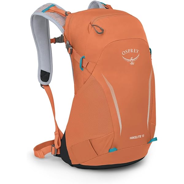 Amazon.co.jp: OSPREY(オスプレー) クレスタ30 パインリーフ