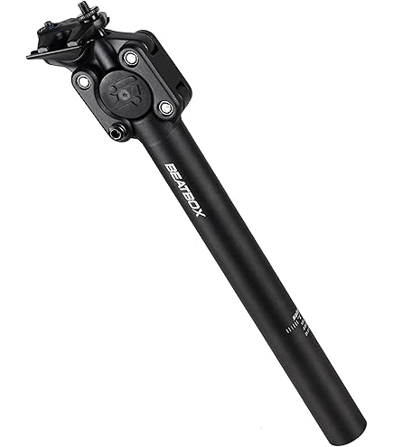 Amazon | レンジャーASポスト 27.2mm ブラック グランジ grunge アンチ