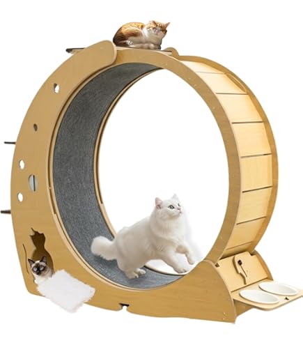 Amazon.co.jp: キャットホイール 猫専用ルームランナー 猫 回し車 猫