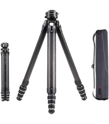 Amazon | Gitzo gt2830シリーズ2バサルト3セクション三脚 | Gitzo | 三脚