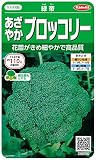 サカタのタネ 実咲野菜2502 緑帝 あざやかブロッコリー 10袋セット