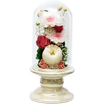 Amazon｜アートフォーシーズン□仏花（白系）ミニ輪菊glass ホワイト