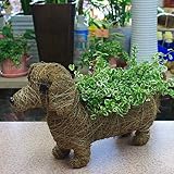 ダックスフンドのバスケットミニ観葉植物プミラ入り　お誕生日プレゼントやインテリアに
