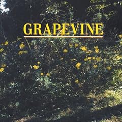 �w�� / GRAPEVINE