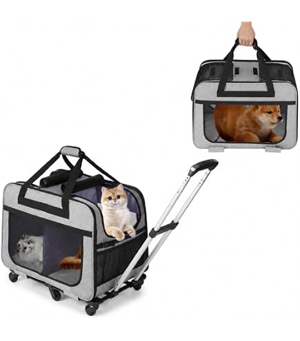 Amazon.co.jp: VZX ペットキャリー 中型犬・大型犬 対応 折りたたみ式