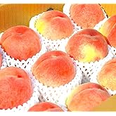 【糖度：16度の別世界 プライム Special 】 ３-６玉 １.５kg 当社化粧箱「日本一の桃王国」旬の産地からお手元へ直接お届け。日川白鵬から始まり・浅間白桃・黄金桃などを経て川中島白桃へと移り変わる味の旅紀行 お中元 【朝採り】 AOY