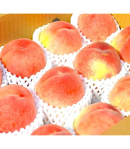 Amazon.co.jp: タイ産 フルーツ ポメロ 6kg (6-8玉) タイ輸入 タイの