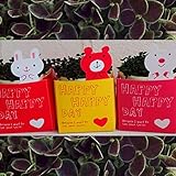 [プチギフトに！]クローバー：四つ葉のクローバー(しあわせ　みぃつけた)3個セット