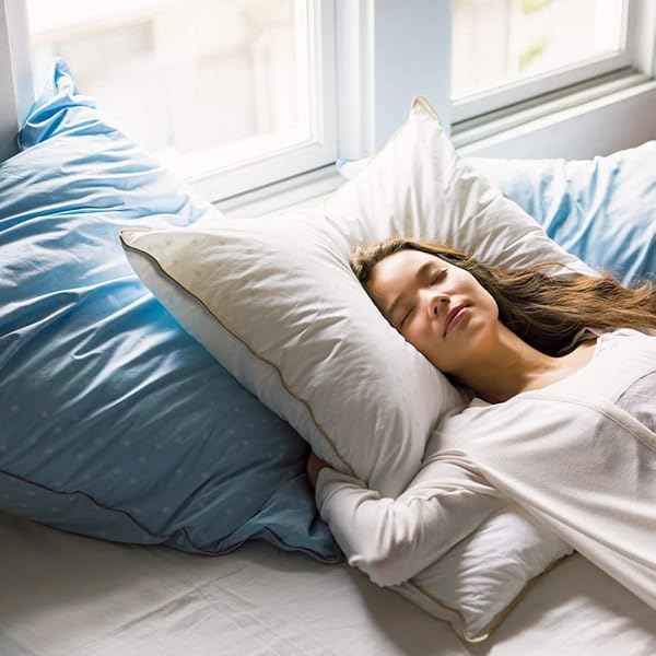 嫁の枕 61f58jilL8L._AC_UF350,