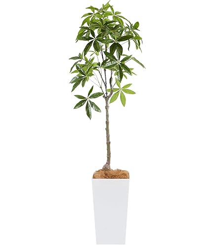 光触媒　人工観葉植物　フェイクグリーン　フレッシュマネーツリー 90 光触媒 光の楽園 フレッシュマネーツリー 90【インテリア フェイク