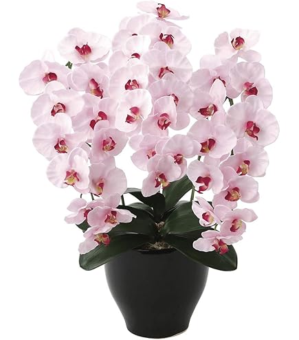 Amazon｜光の楽園 フェイクグリーン 造花 フレッシュ胡蝶蘭3本立W