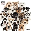 THE DOG ALL-STAR 2018年 カレンダー 壁掛け CL-1101