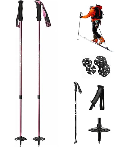 Amazon.co.jp: ブラックダイヤモンド ストック フリックロックポール