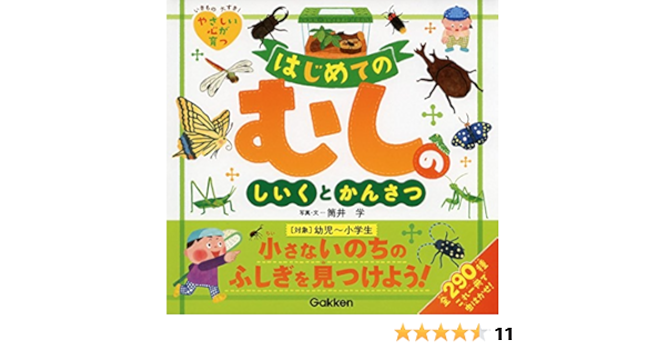 はじめてのむしのしいくとかんさつ はじめてのしいくとかんさつシリーズ 筒井 学 本 通販 Amazon