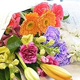 [florence du] 生花 店長おまかせ 切花 洋花 詰め合わせ 教室用 練習用 切り花