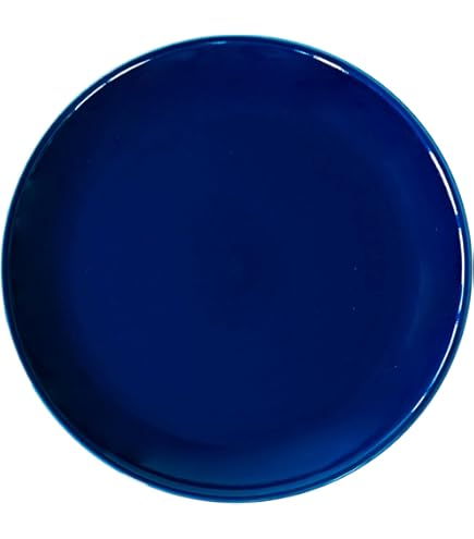 Amazon.co.jp: アスティエ 人気 キューブシリーズ ディナープレート