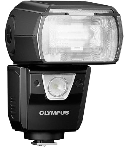 Amazon | Olympus STF-8 Twin Flash Set - Macro flash system - 8.5