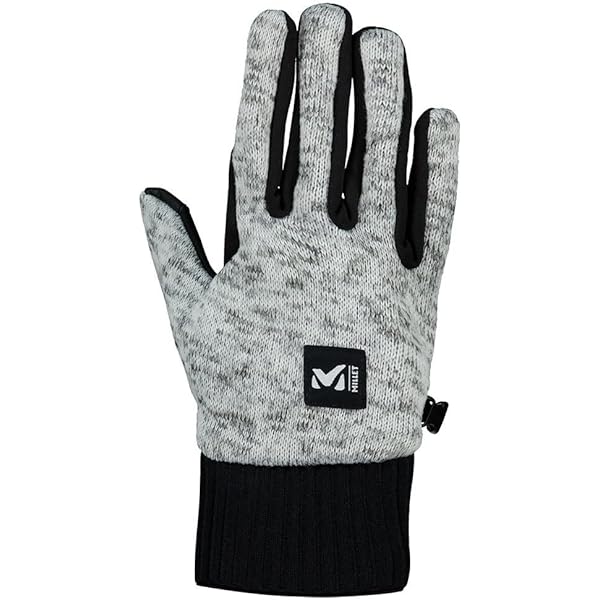 Amazon | [ミレー] 登山用グローブ ICE FALL GTX GLOVE(アイスフォール