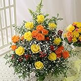 BunBunBee おまかせ♪アレンジ・ベストシーズン「ノーブルサンシャイン」