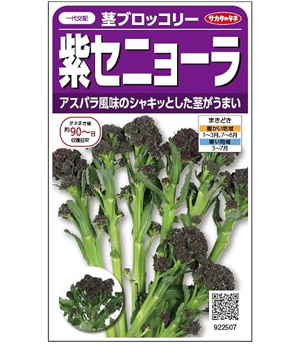 Amazon.co.jp: 〈2000粒〉ブロッコリー種【 おはよう 】サカタのタネ