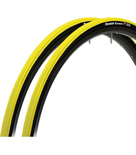 パナレーサー軽量クリンチャータイヤRaceL Evo2 & チューブセット Panaracer Corporation パナレーサー株式会社