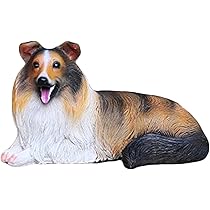 61mv58CDzcL._AC_UL210_SR210,