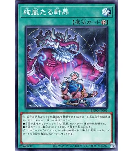 Amazon.co.jp: 遊戯王カード 絢嵐たるスエン(スーパーレア) DOOM OF