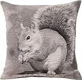 クッション リス [約W45 x D45 x H16cm] ポリエステル　コットン※TTC-105とアソート可