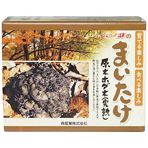【87%OFF】【1,782円】 森のきのこ倶楽部 まいたけの成る木（短木）マイタケ栽培 8個セット