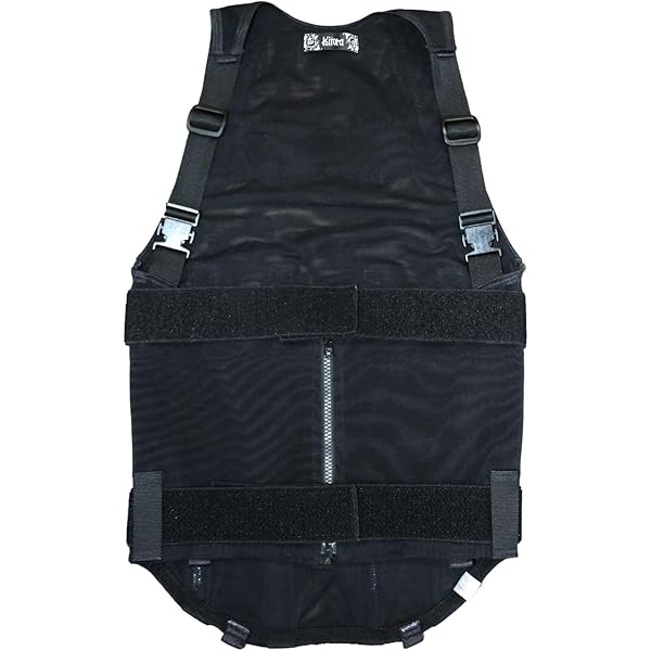 大巾値引！バッファローが映えるスキースーツMブラック、レッドがお買い得！ FISCHER（フィッシャー）HOCHSTEIN JACKET (Q66F FIERY RED) +