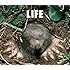 LIFE(通常盤)