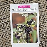 ハーブ 苗 【サルビア デスコロール】 3号ポット×5株セット ハーブ苗 セット
