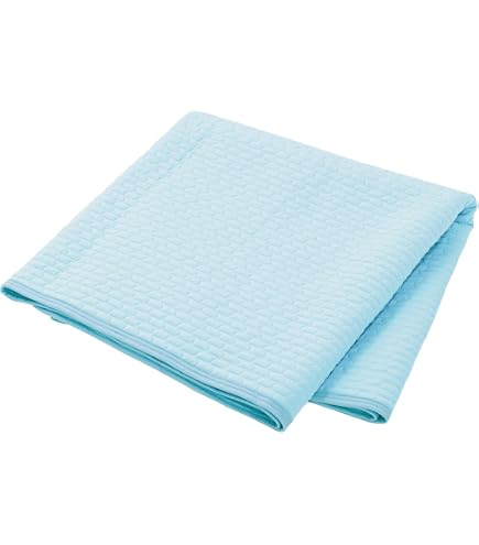 Amazon.co.jp: ファイテン(phiten) 冷感リバーシブル 肌掛けふとん