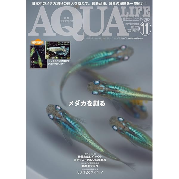 AQUA LIFE 2020年5月号・11月号 アクアライフ 11月号 (2020-10-17) [雑誌] | エムピージェー | 趣味