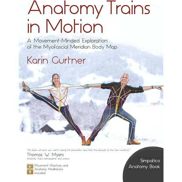 Amazon.co.jp: Anatomy Trains in Motion (Slings Myofascial